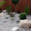Contemporary Planting